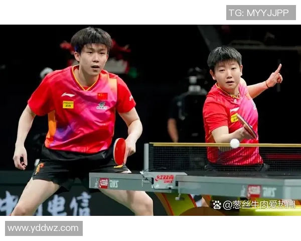 乒乓球盛宴：深入了解上海乒乓球队的默契配合与训练秘诀