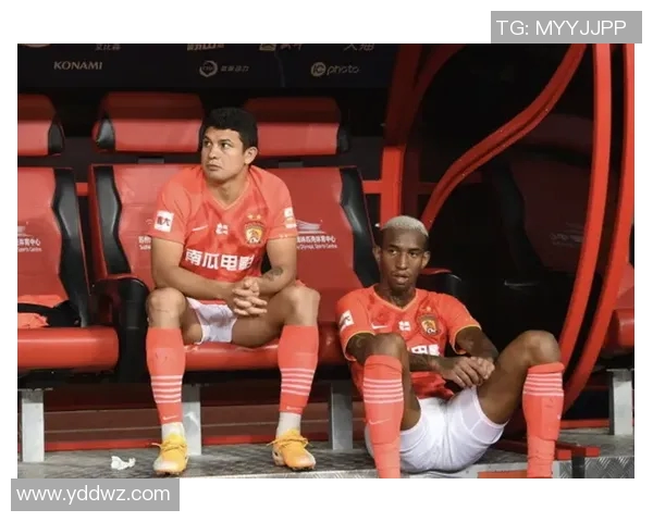 广州排球队的反击革新之路探索与未来展望