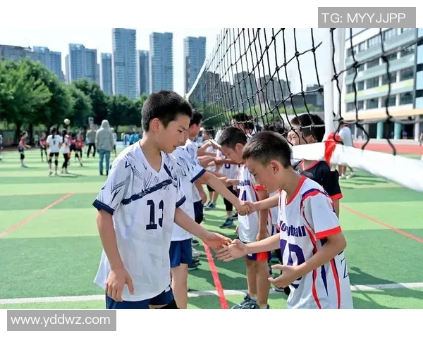 排球之魂：深入探讨成都排球队的团队意识与文化传承