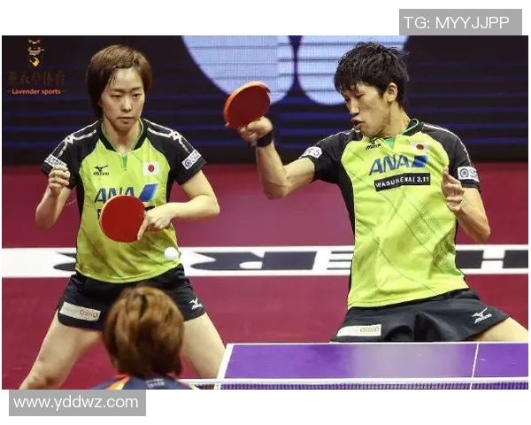 南京乒乓球队的战术运营体系探究与实践分析