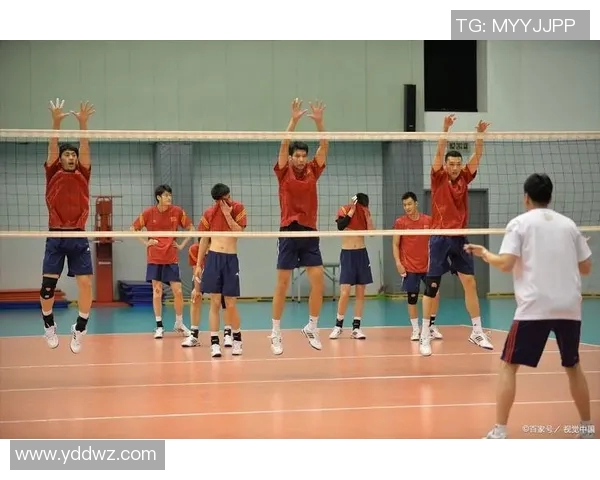 排球盛宴：深入了解重庆排球队的团队精神与战术魅力