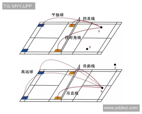 上海羽毛球队联赛表现分析团队配合与战术执行的关键因素探讨 上海羽毛球队联赛表现分析团队配合与战术执行的关键因素探讨