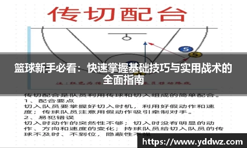 篮球新手必看：快速掌握基础技巧与实用战术的全面指南